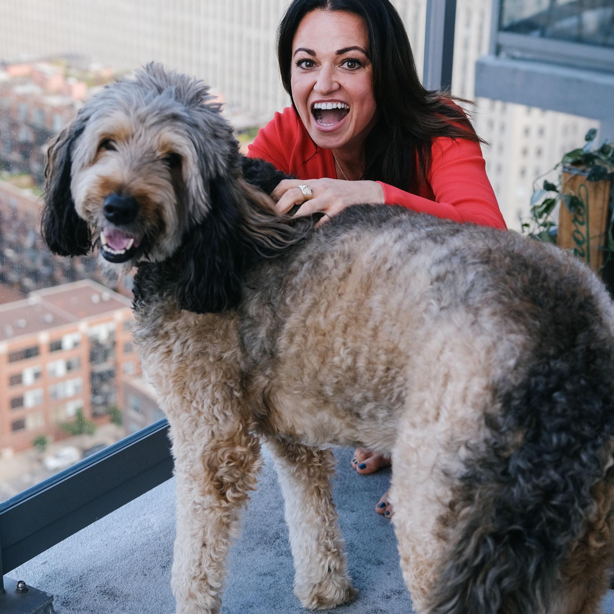 Pasha our sweet doggo, is a Bernedoodle who weighs 105 pounds. He is stubborn, terrified of children and very food motivated.