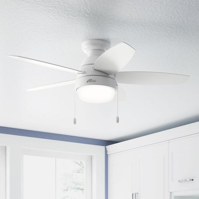 44'' Lilliana 5 - Blade Ceiling Fan