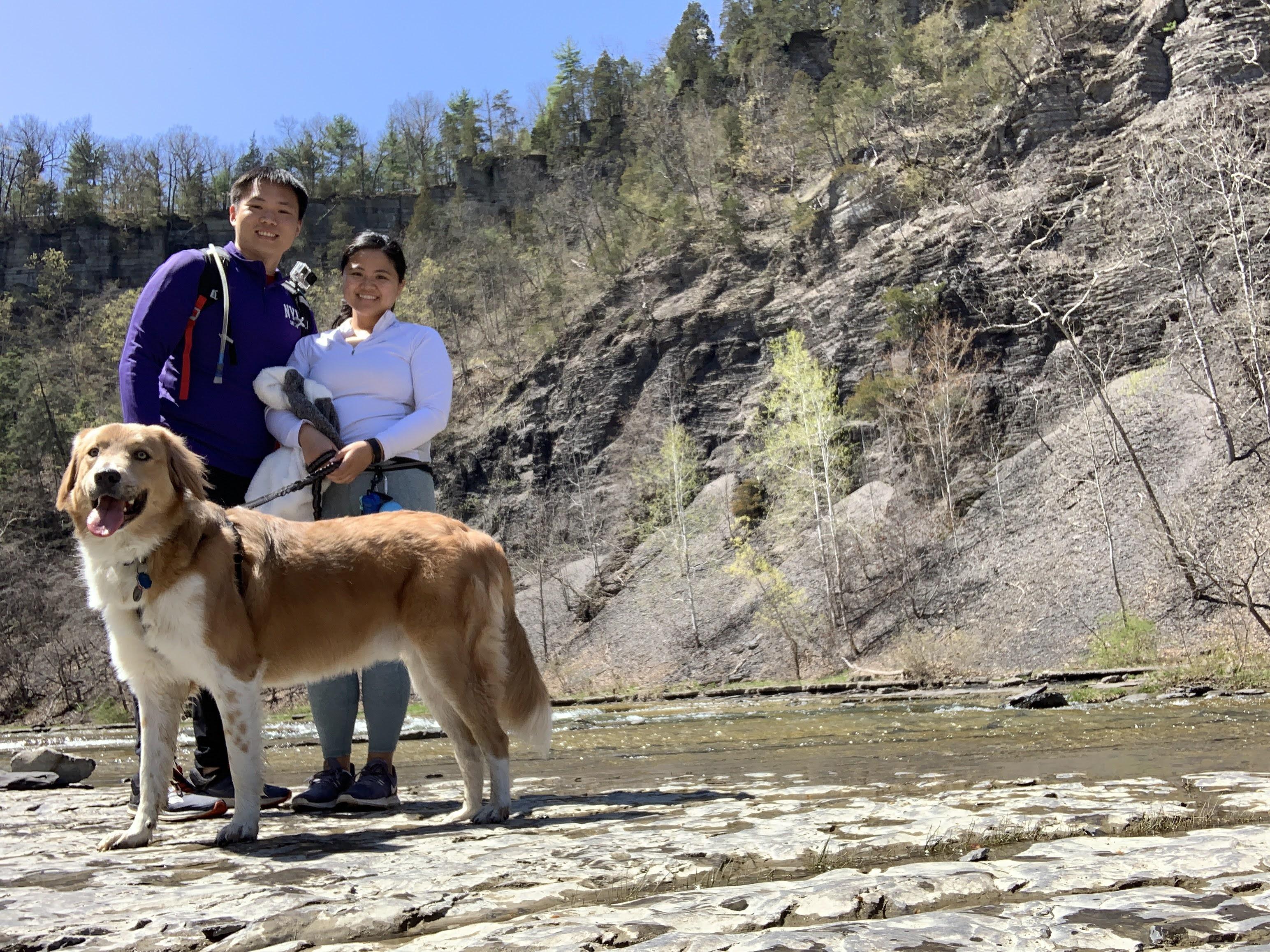 a1837e16-195e-43d4-8060-9484a553ce85