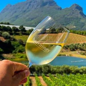 South African Wine Tour