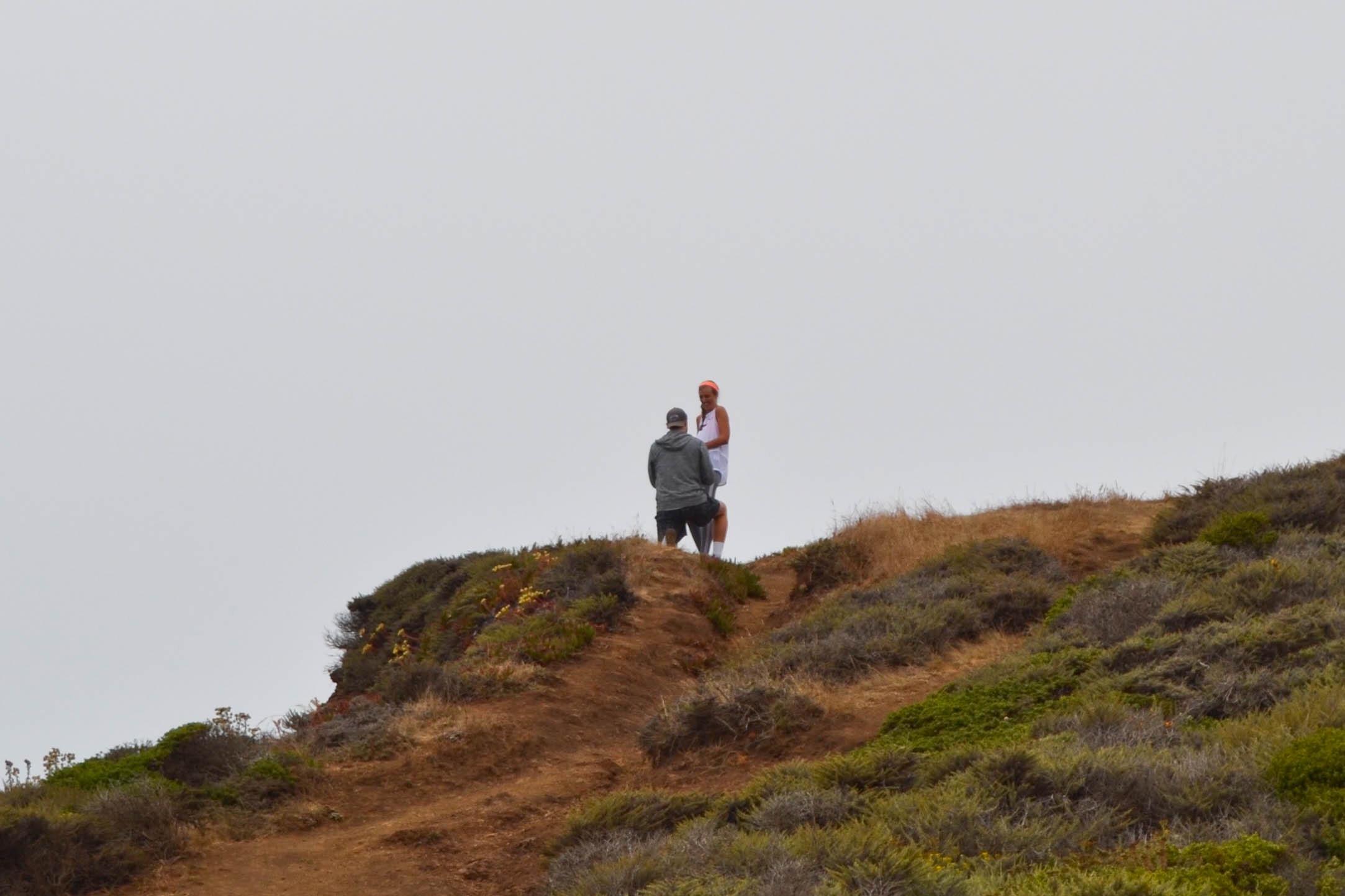 The Wedding Website of Taylor Wentz and Collin Brown