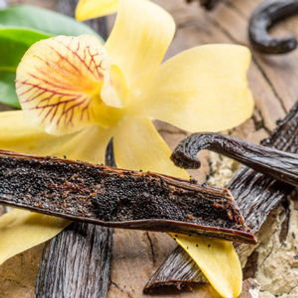 Tahitian Vanilla Bean Tour