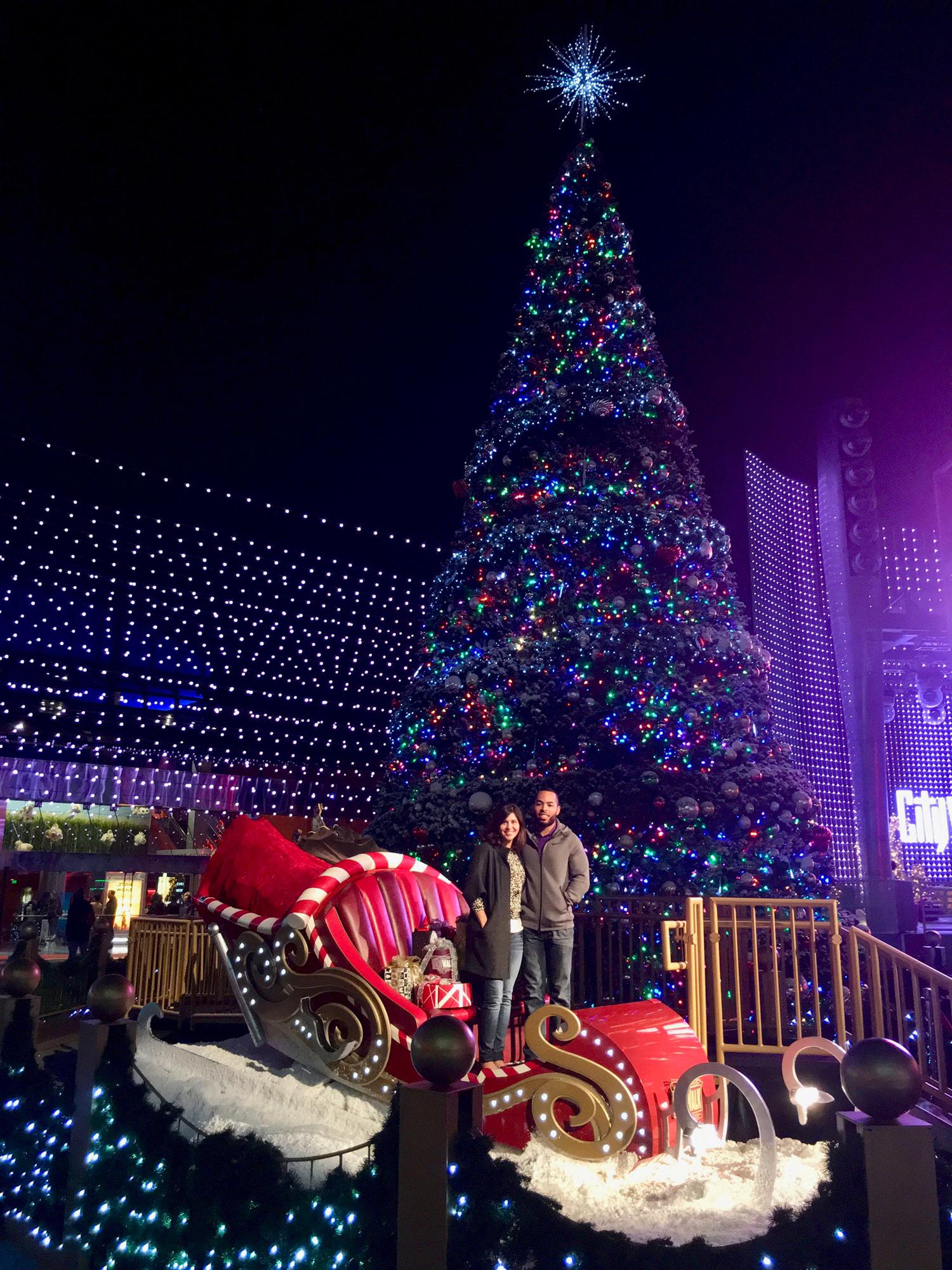 Universal Citywalk, Hollywood, CA
Christmas 2015