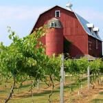 Lautenbach's Orchard Country Winery & Market