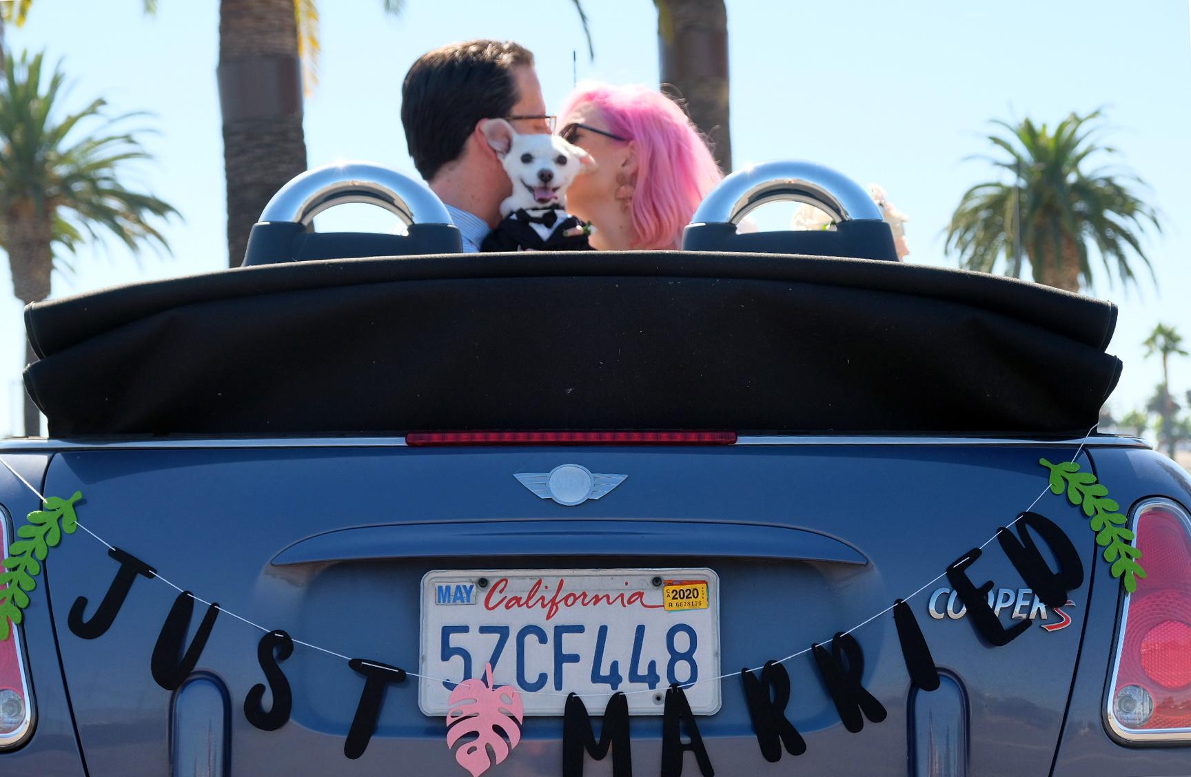 The Wedding Website of Mariangela McMurray and Kaleb Nelson