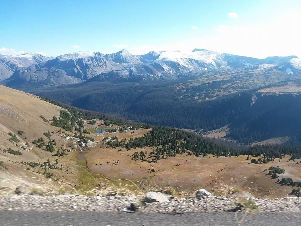 The Wedding Website of Ashton Hartman and Doyle Jackson