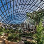 Entopia by Penang Butterfly Farm