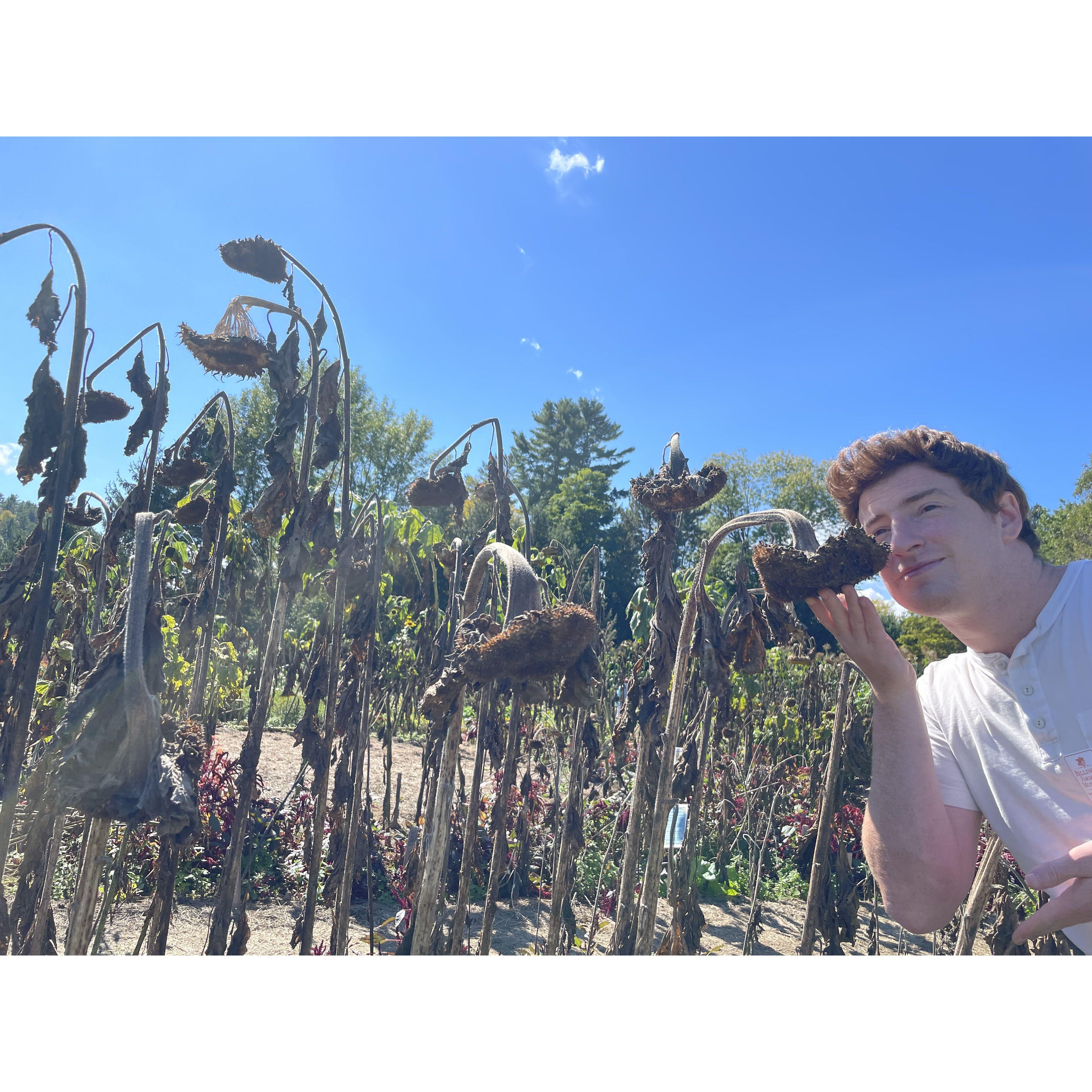 okay, so the sunflower house expires before september