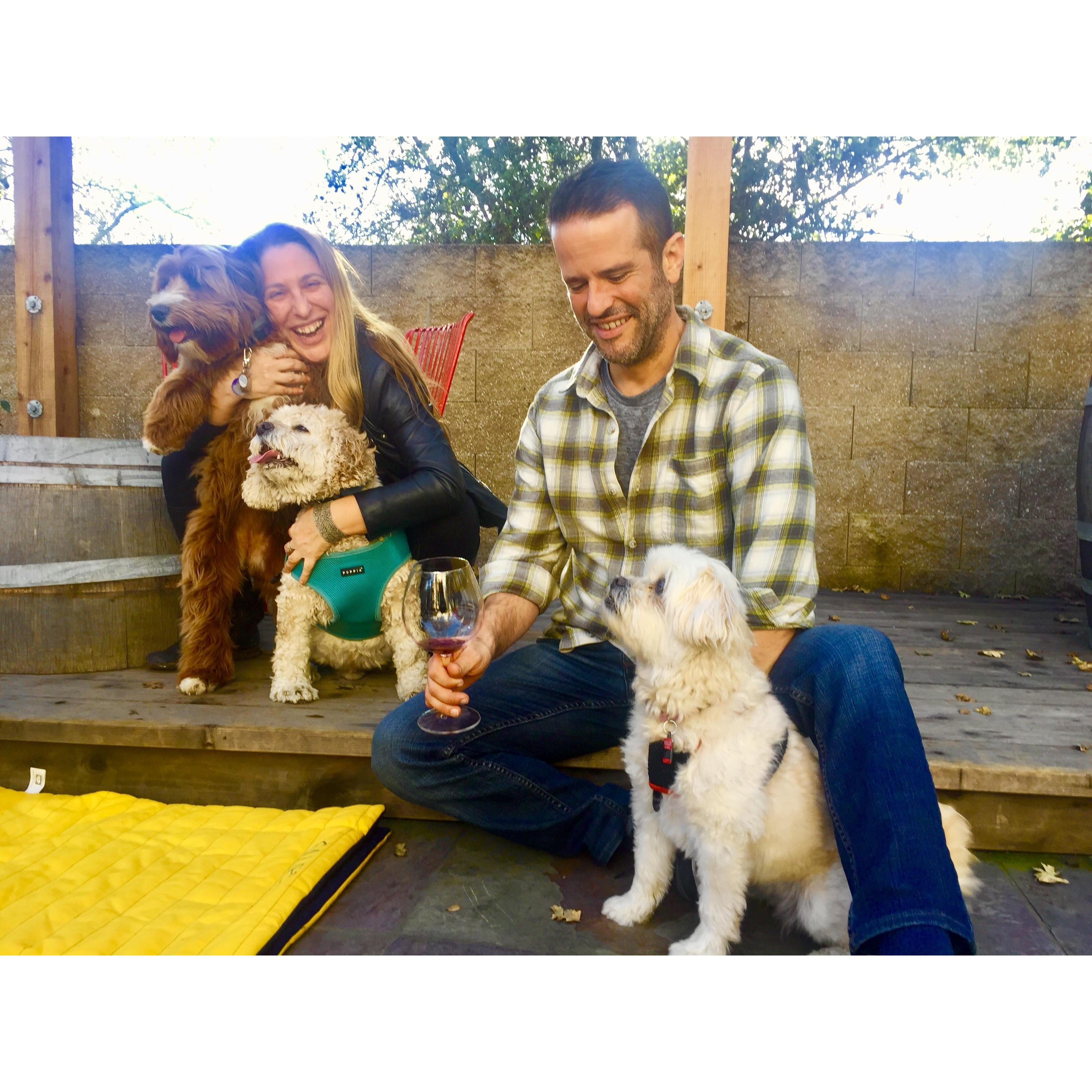 Carmel Valley Wine Tasting - 2019
