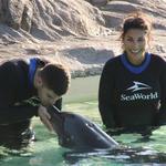 SeaWorld