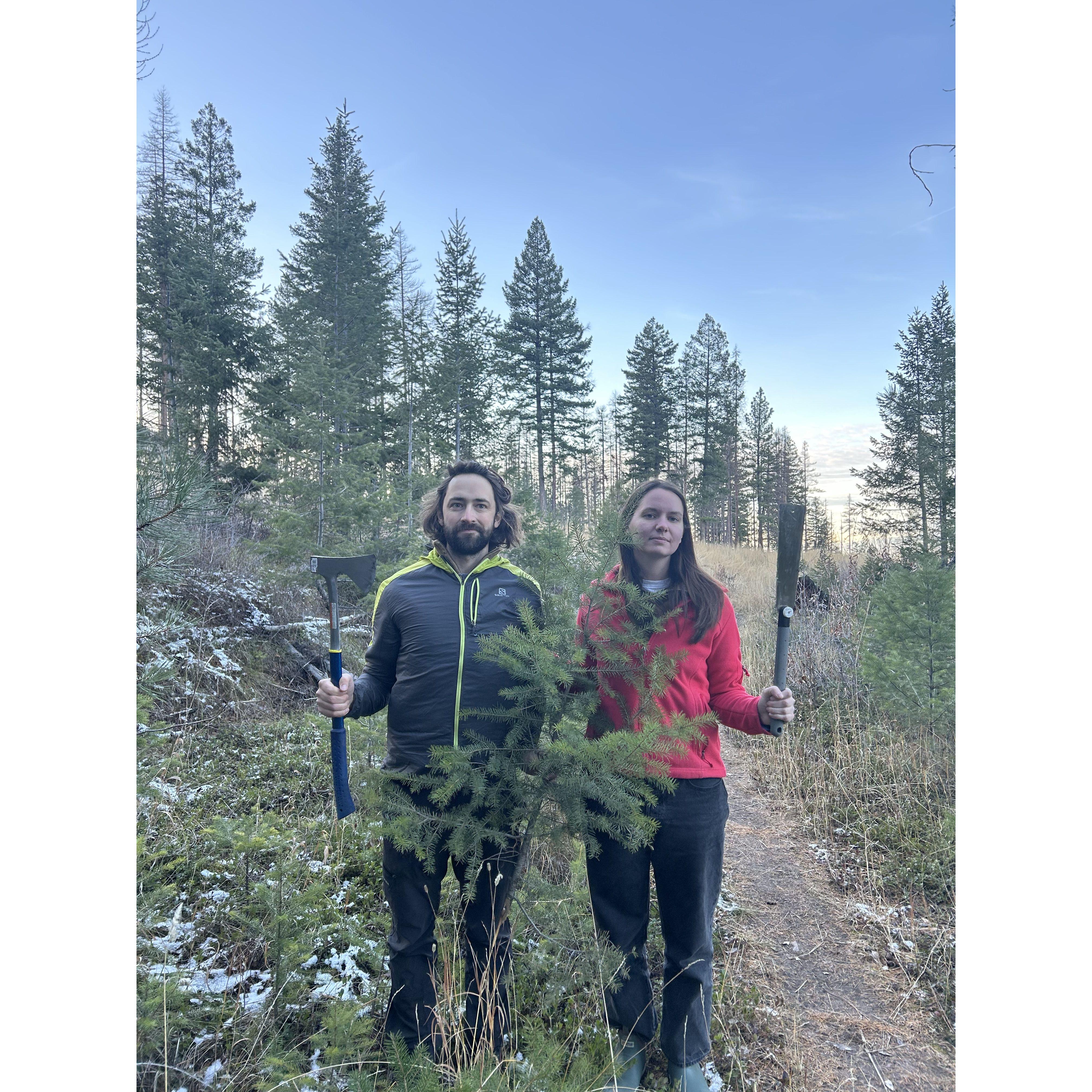 Cutting down a Christmas tree with Carolin & Bennett