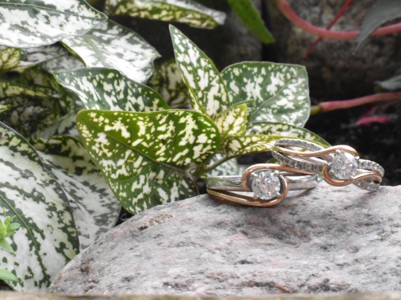 The Wedding Website of Cynthia Mote and Kimberly Stellmack