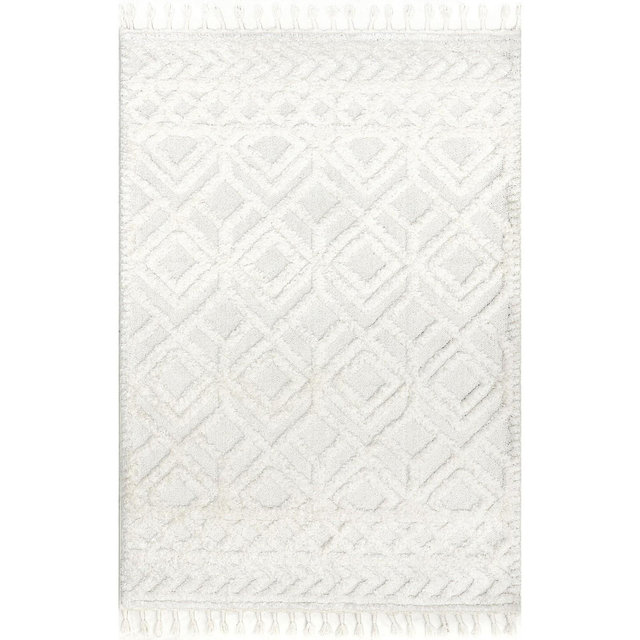 Nuloom Akia Lattice High/Low Tassel Aea Indoor Area Rug, 4' x 6', Beige