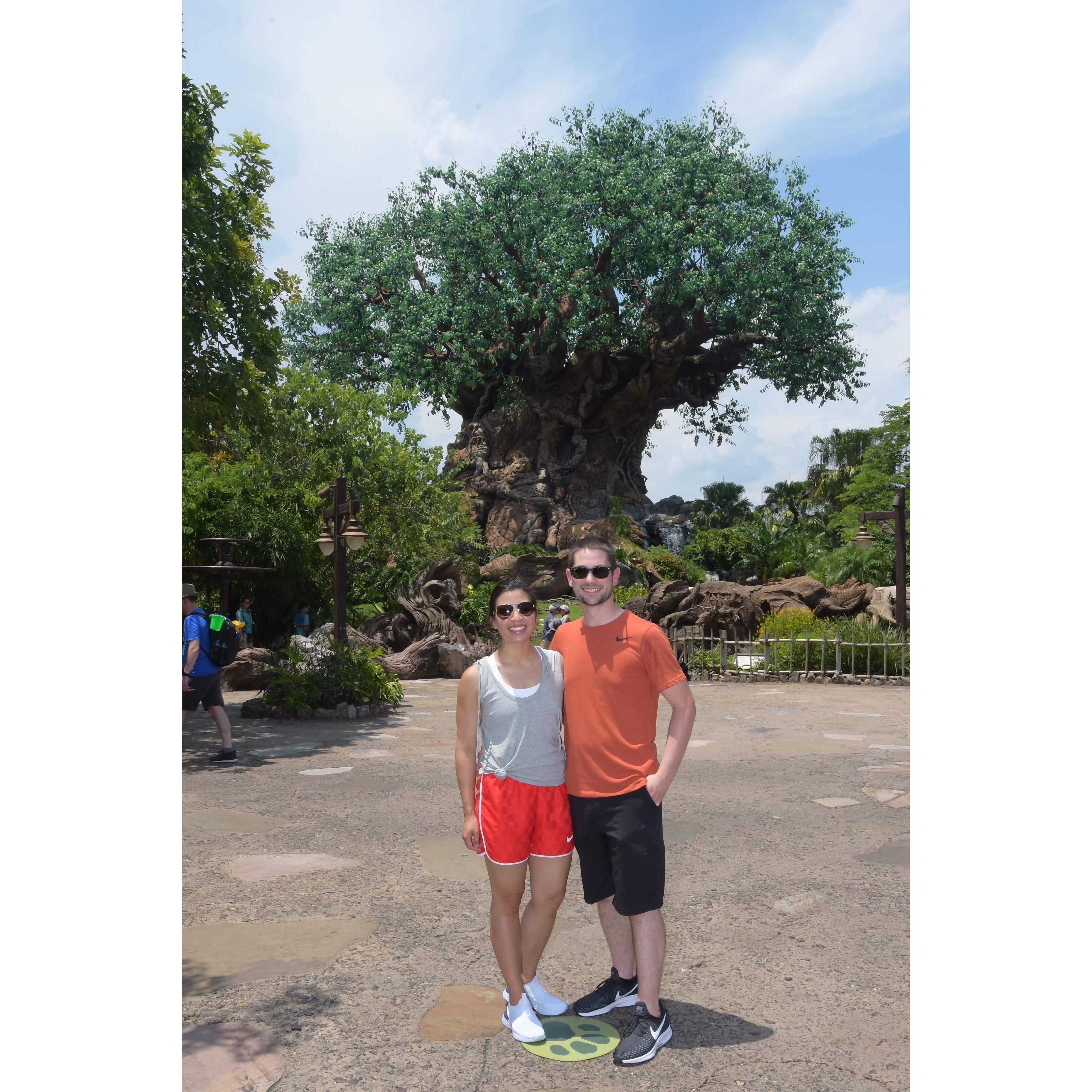 Zach's first-ever trip to Disney World, July 2019.