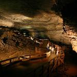 Mammoth Cave National Park
