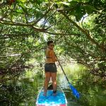 Paddle Boarding