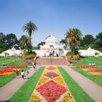 Golden Gate Park