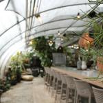 Greenhouse Bar