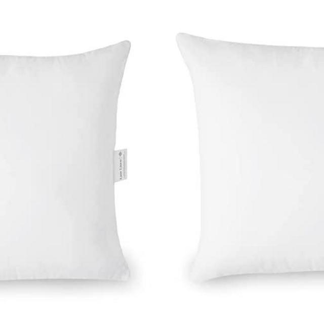 20x20 Pillow Inserts - Set of 2 Lightweight Down Alternative Square Pillows, White Throw Pillows for Bed, Decorative Pillows for Couch Bed, Firm Pillows for Living Room, Decorative Pillows for Bed