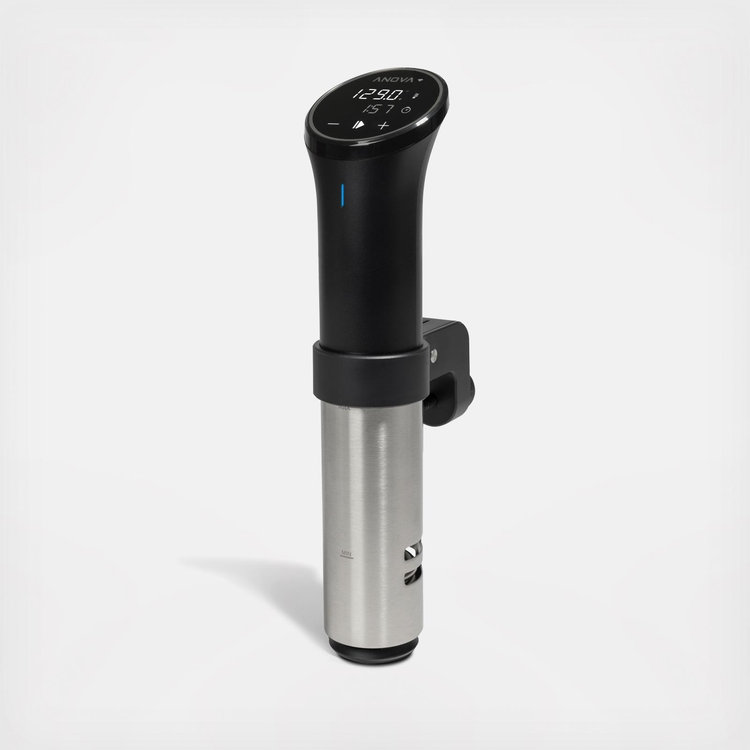 Anova Culinary, Anova Precision Cooker 3.0 with WiFi | Zola