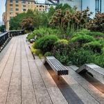 The High Line