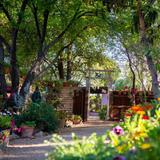 Tucson Botanical Gardens