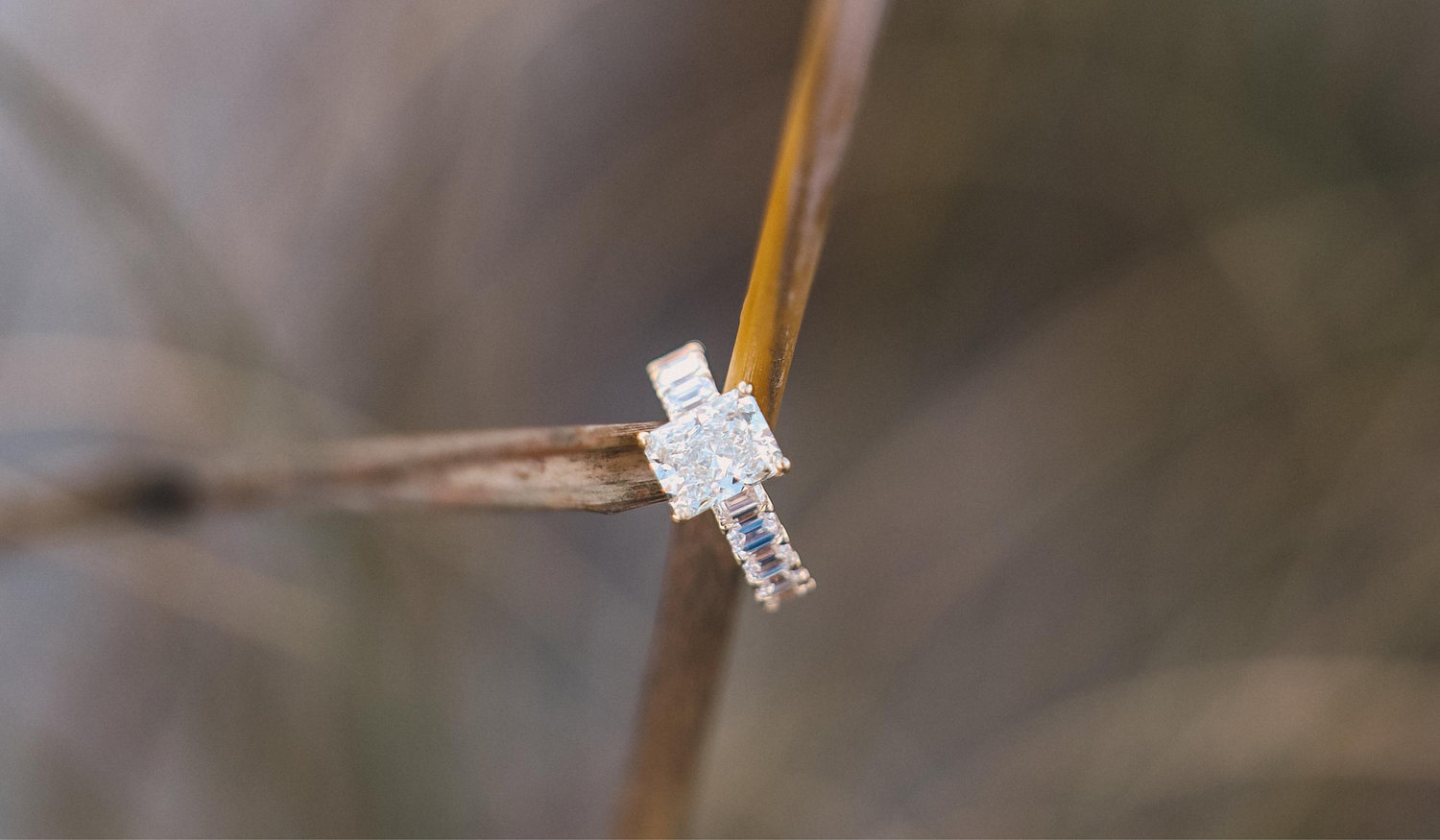 The Wedding Website of Alisha Lester and Cody Drivas