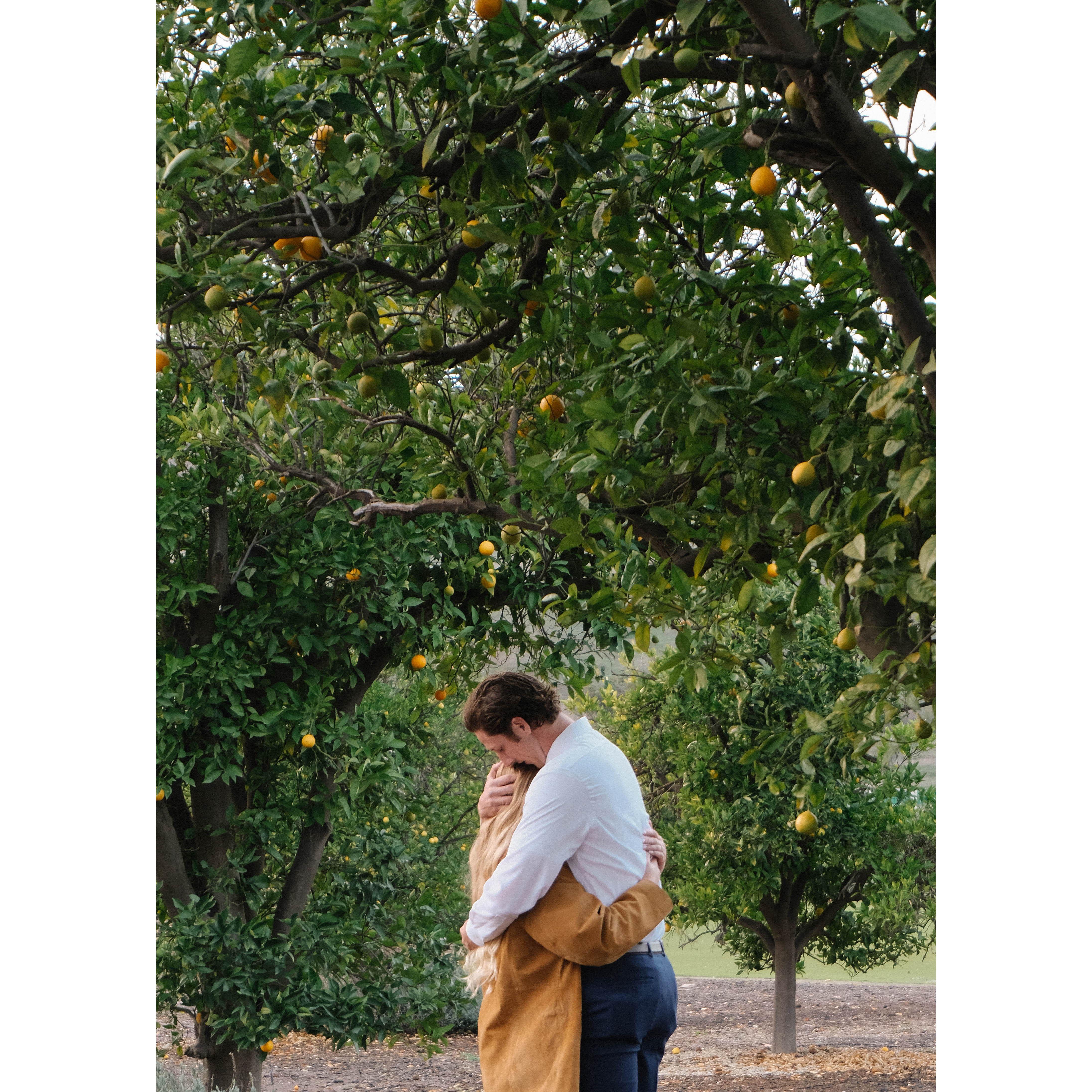 THE BEST DAY OF OUR LIVES