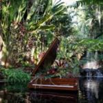 Marie Selby Botanical Gardens Downtown Sarasota campus
