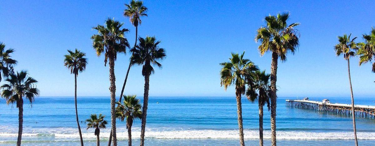 The Wedding Website of Sofia Burton and Andrew Wager