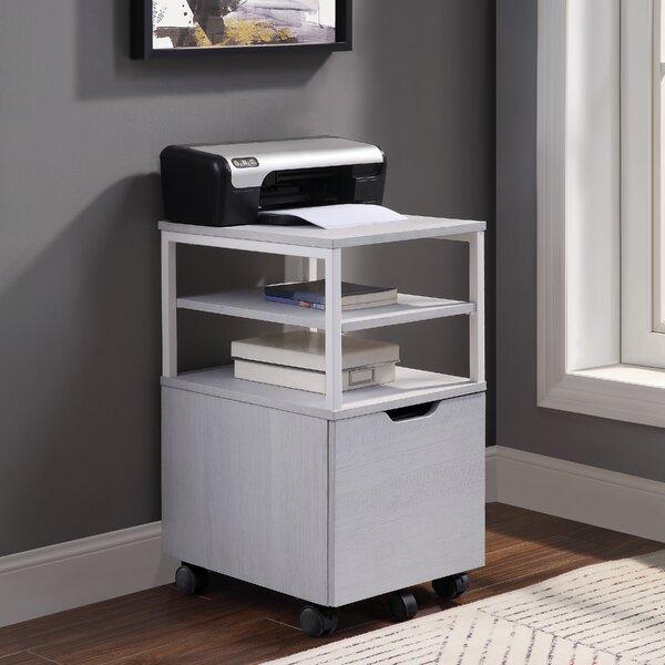 Stormstown 1-Drawer Mobile Vertical Filing Cabinet