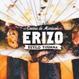 Erizo Marketo