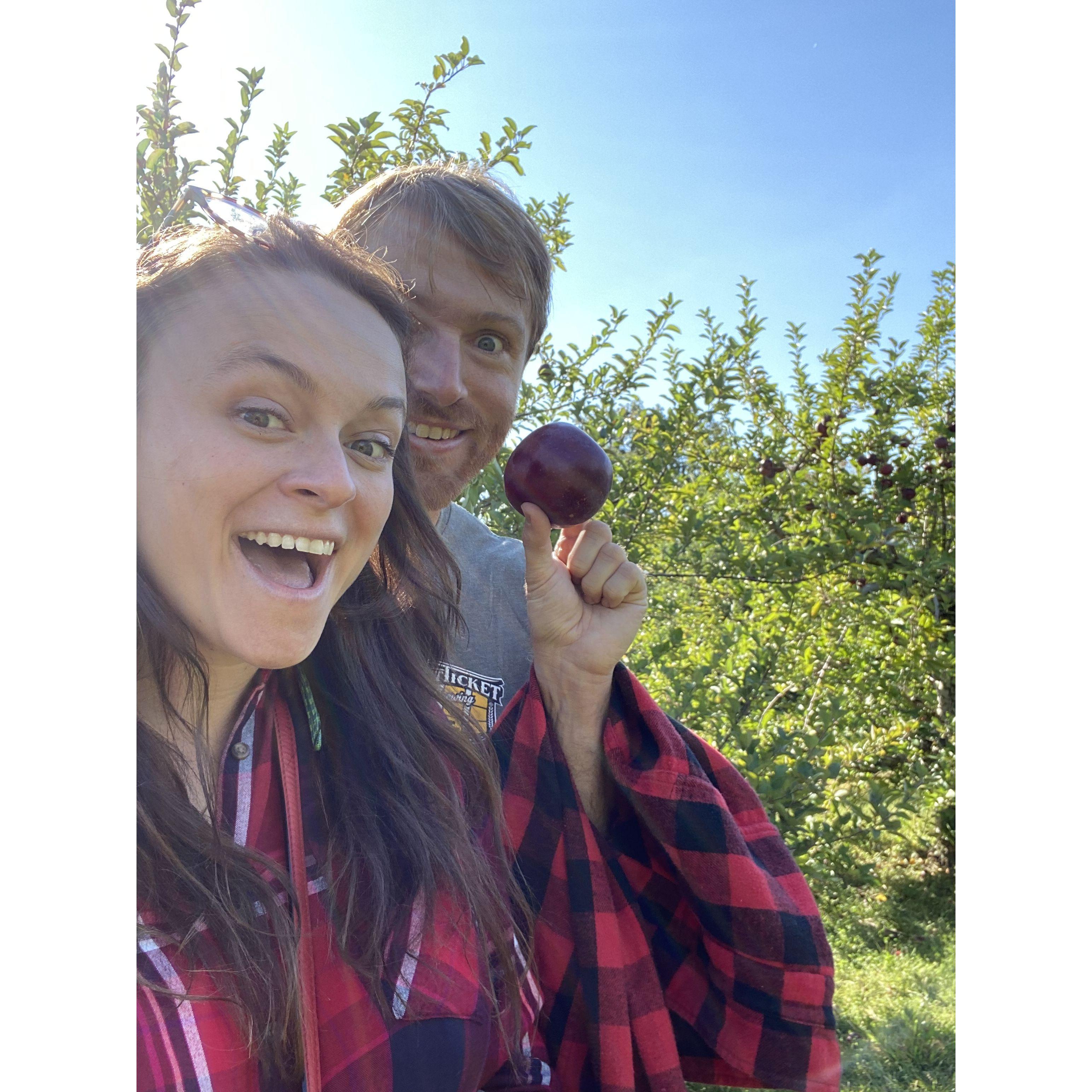 After telling him for years I would never make him go apple picking.
