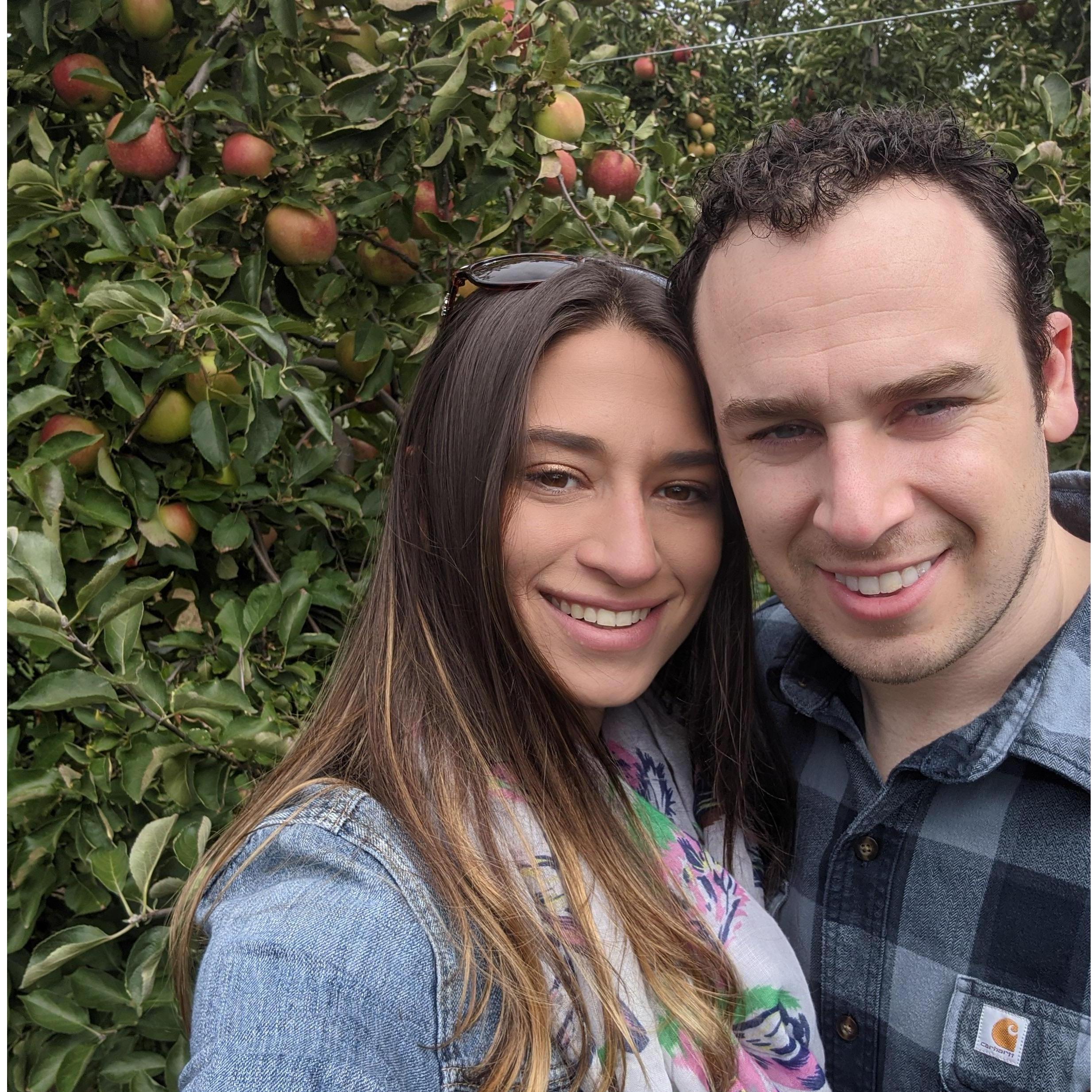 Apple Picking Mattituck, NY