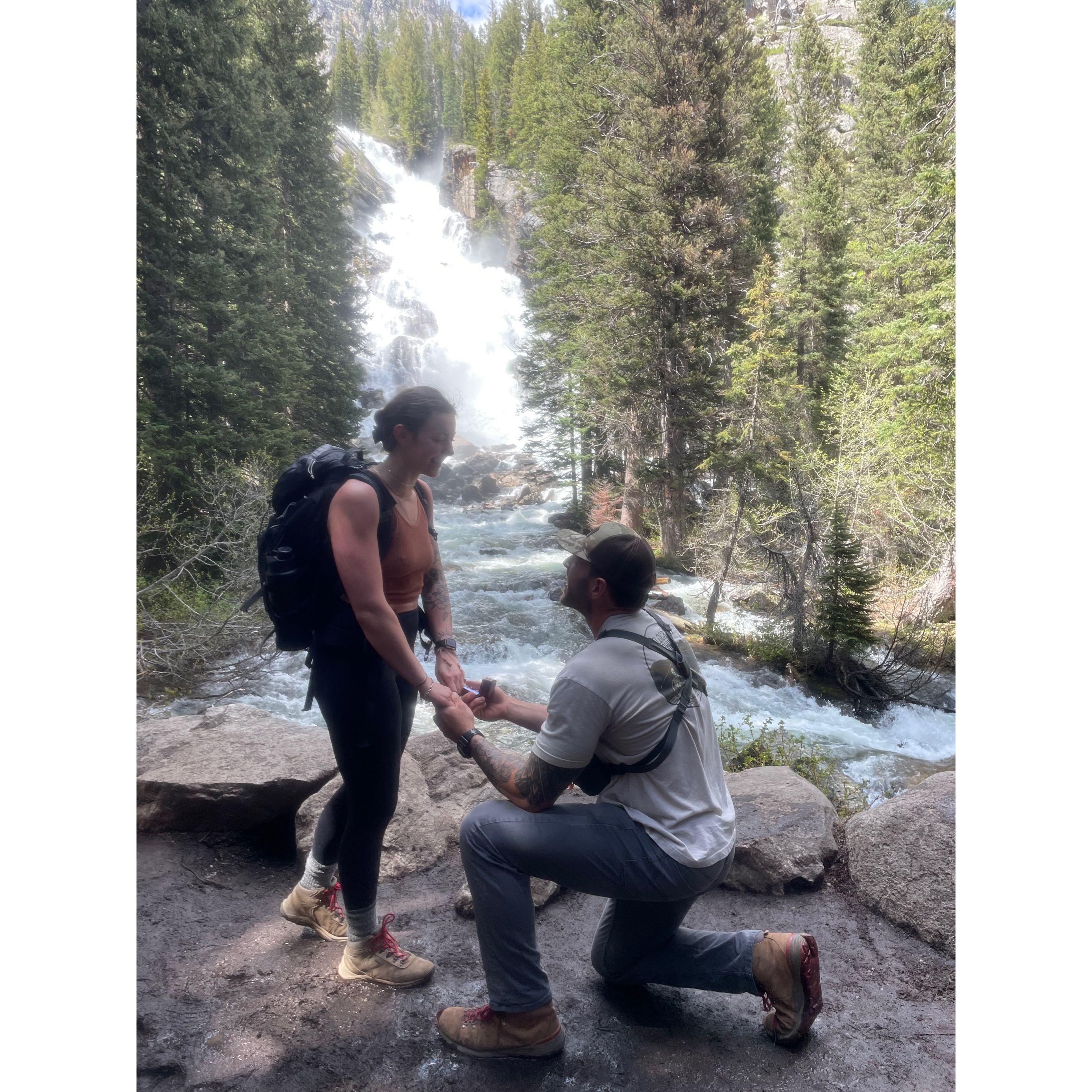 The PROPOSAL !