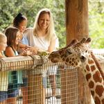 Jacksonville Zoo and Gardens