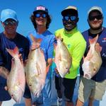 Half-Day Fishing Tour in Key West