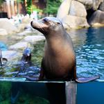 Central Park Zoo