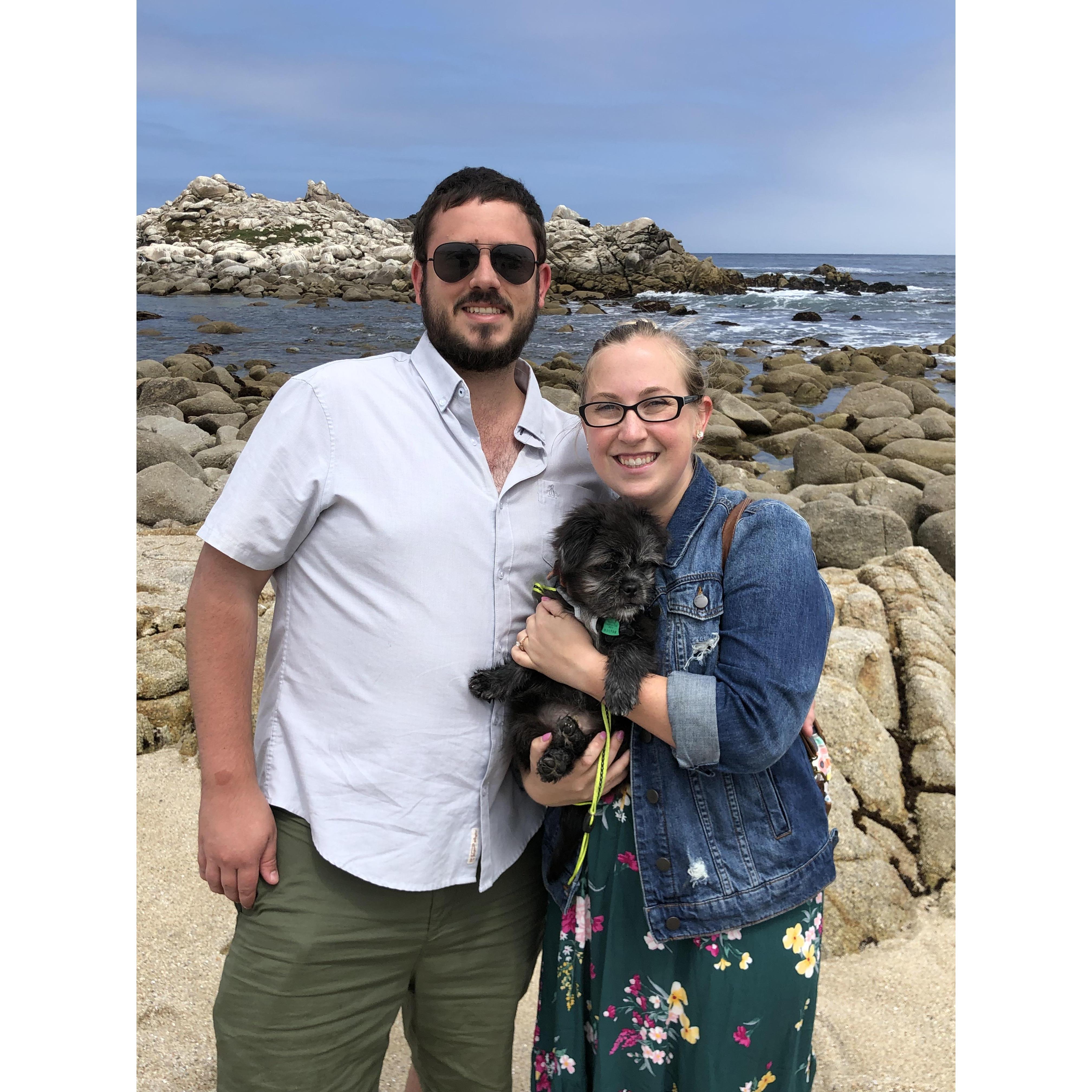 Waffles first trip to Pacific Grove