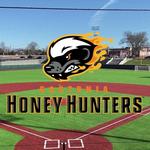 Gastonia Honey Hunters