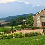 Pippin Hill Farm & Vineyards