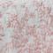 Pale Pink/white