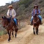 Circle Bar B Horseback Riding Stables