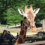 Milwaukee County Zoo