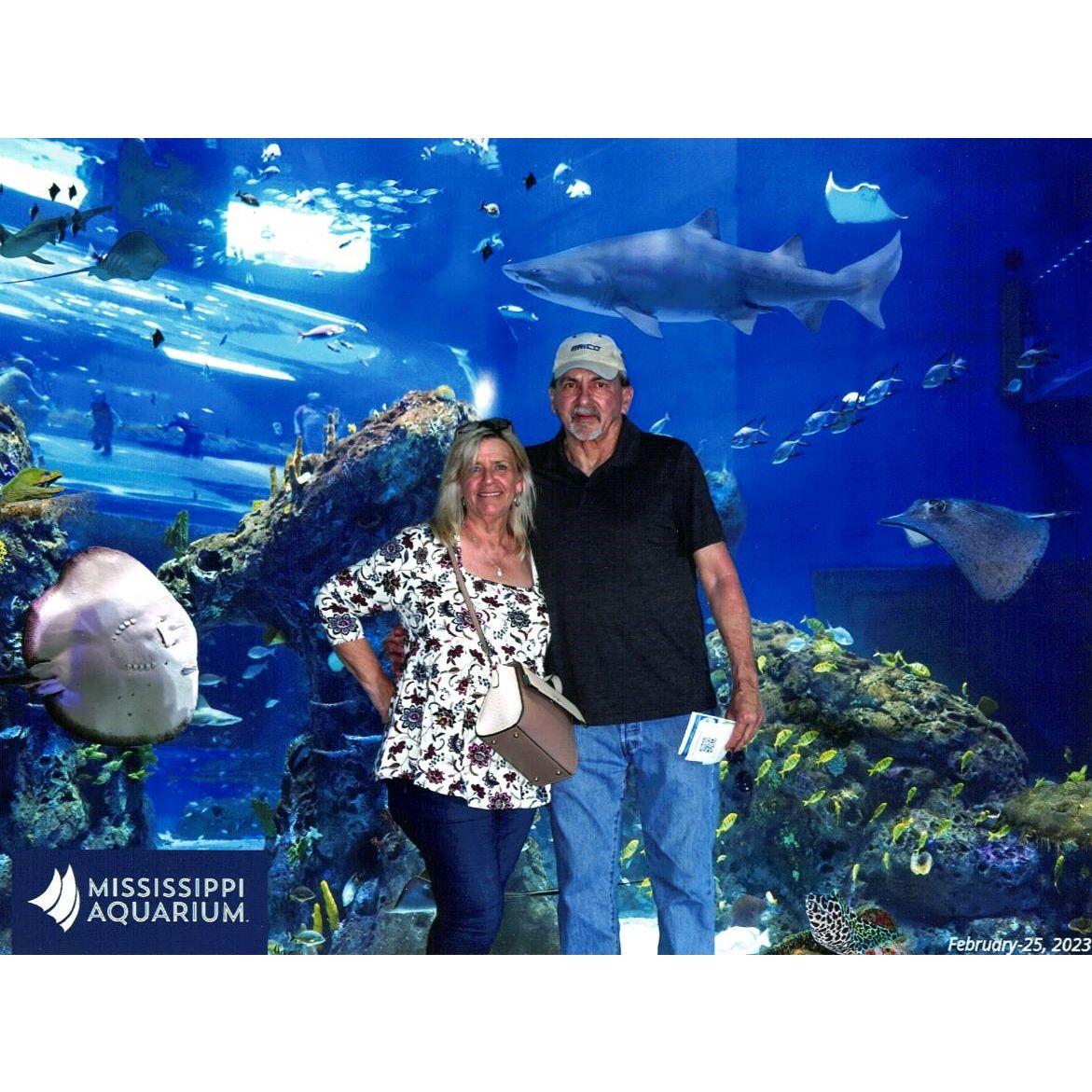 Great little Aquarium to visit..