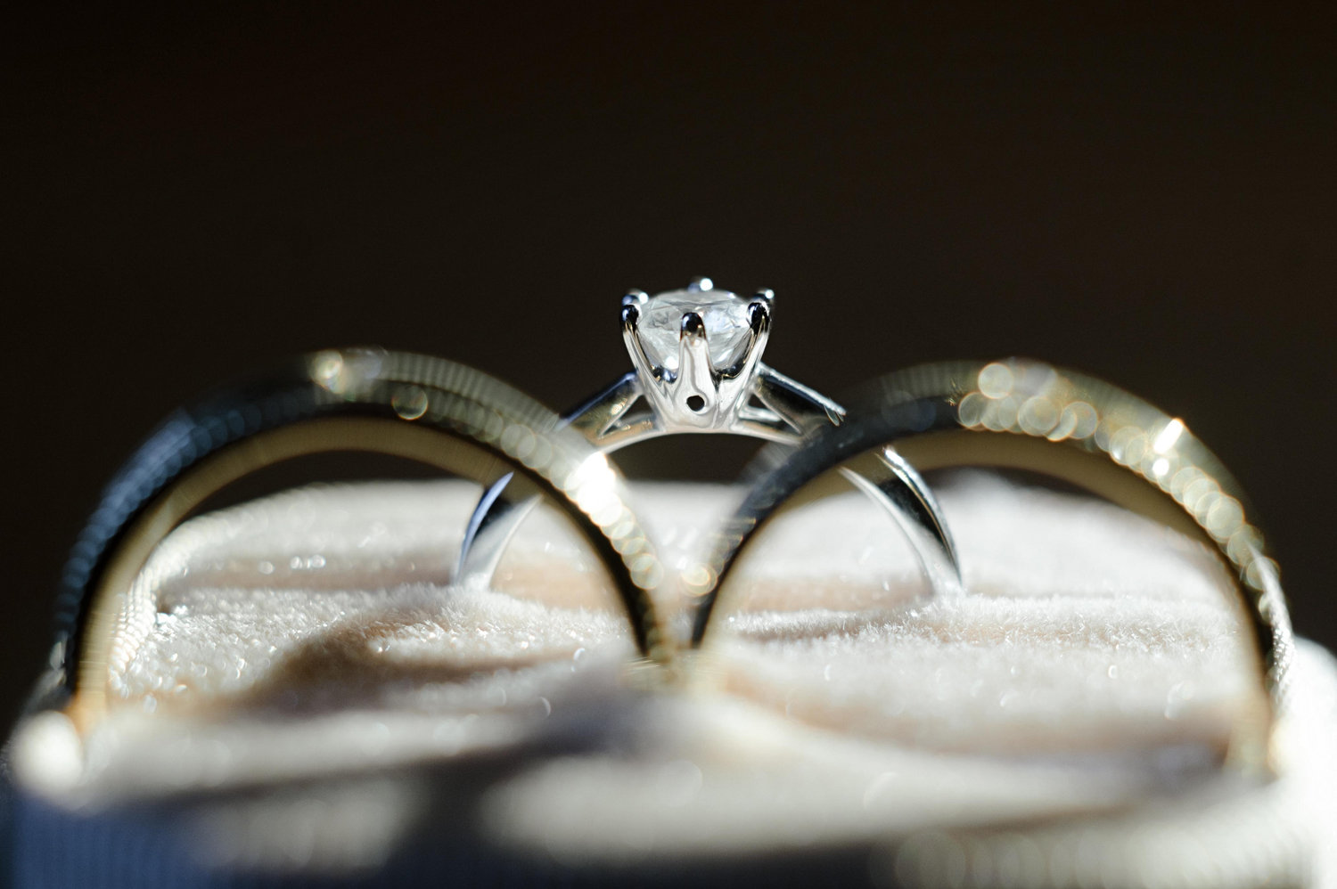 The Wedding Website of Tran Thi Dien Linh and Pham Anh Dung