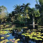 Naples Botanical Garden