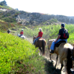 Mar Vista Stable - Horseback Riding