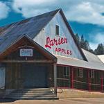 Larsen Apple Barn #9