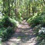 Hallock State Park Preserve